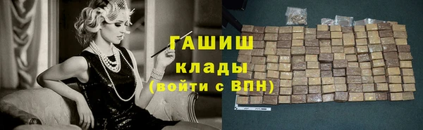 индика Саяногорск