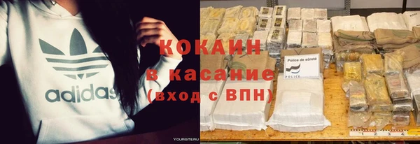трава Аркадак