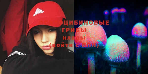 трава Сатка