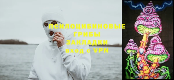 индика Саяногорск
