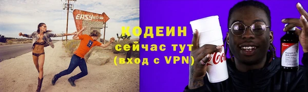 индика Саяногорск