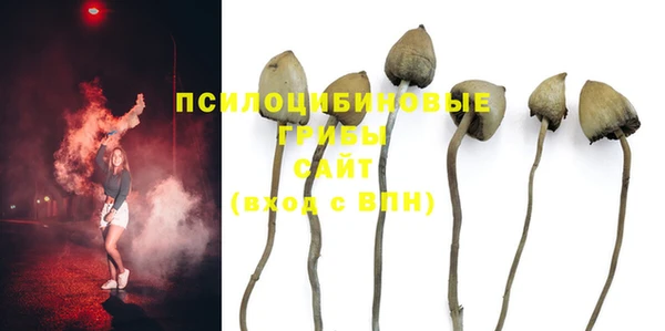 индика Саяногорск