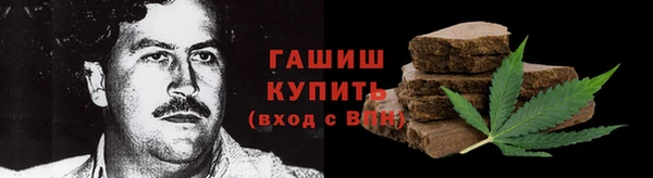 индика Саяногорск