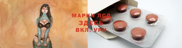 трава Сатка