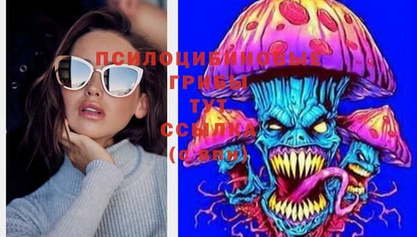 твердый Сафоново