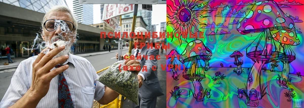 твердый Сафоново