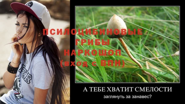 трава Сатка