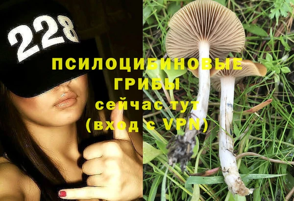 прущий лед Алексин