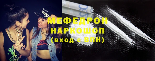 индика Саяногорск